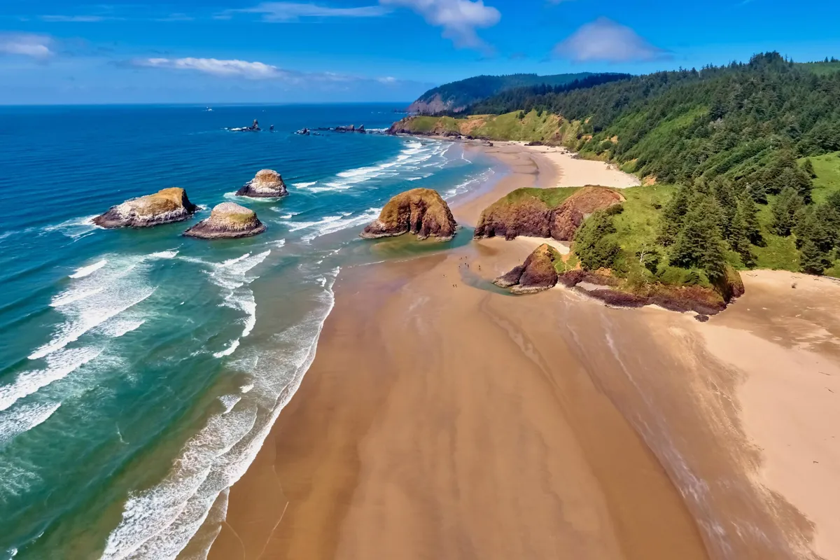 This exterior image features a pristine sandy beach with striking rock formations, gentle ocean waves, and a lush green shoreline. The scene captures the natural beauty of the nearby coastline, inviting guests to imagine morning walks along the water's edge with their dogs exploring the open sand.